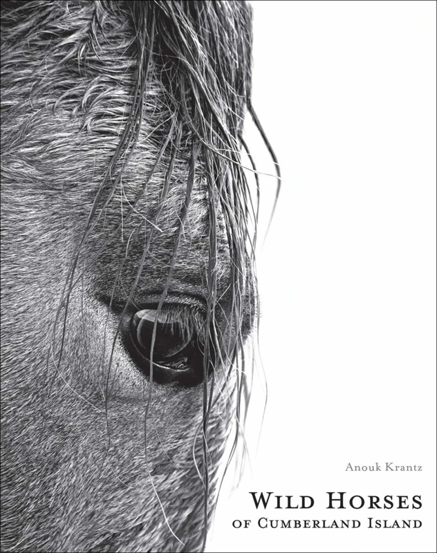 Wild Horses of Cumberland Island: Anouk Masson Krantz