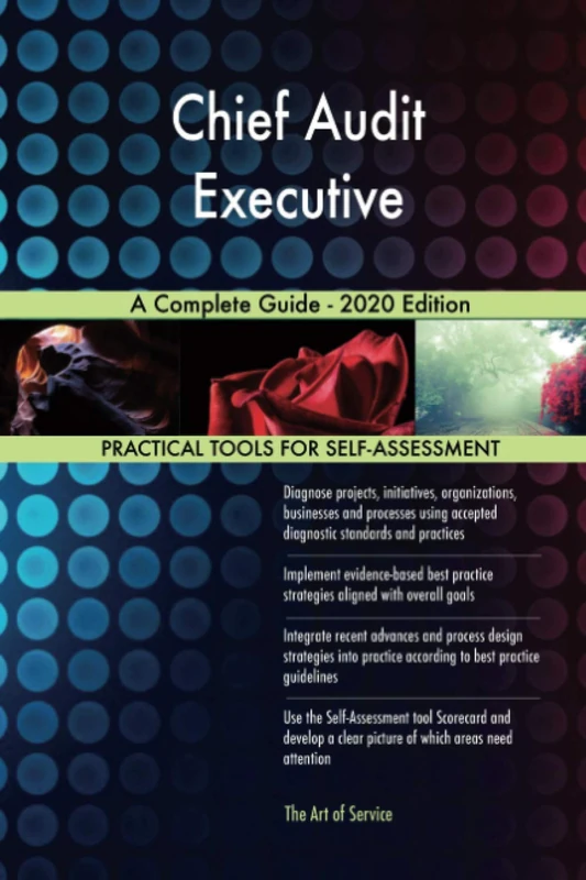 Chief Audit Executive A Complete Guide - 2020 Edition