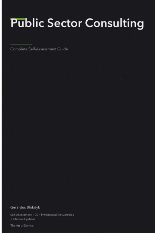 Public Sector Consulting A Complete Guide - Image 1