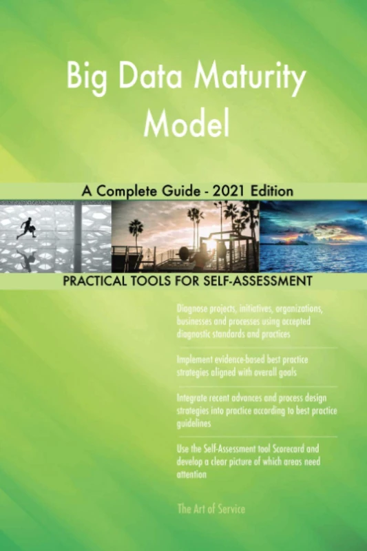 Big Data Maturity Model A Complete Guide - 2021 Edition - Image 1