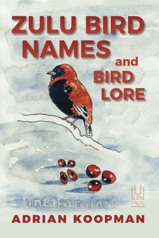 Zulu Bird Names and Bird Lore - Image 1