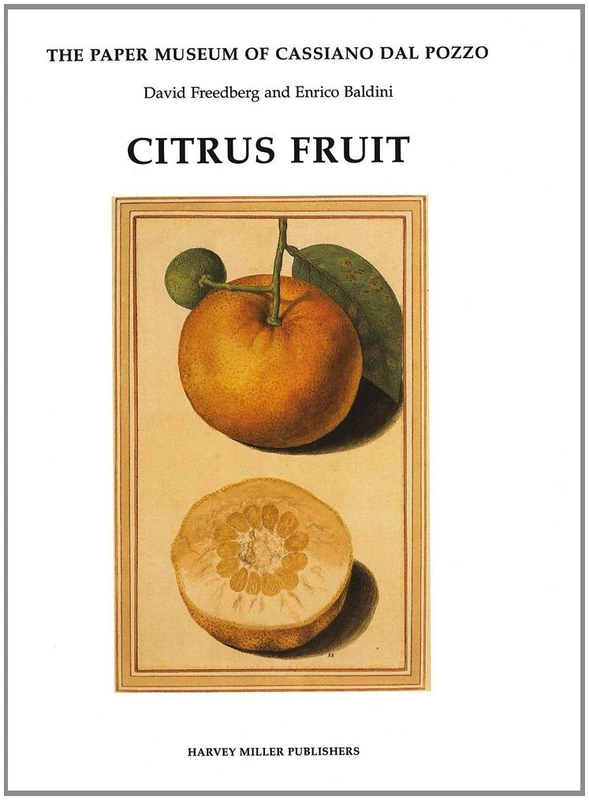 Citrus Fruit: Series B, Part I (Paper Museum of Cassiano dal Pozzo)