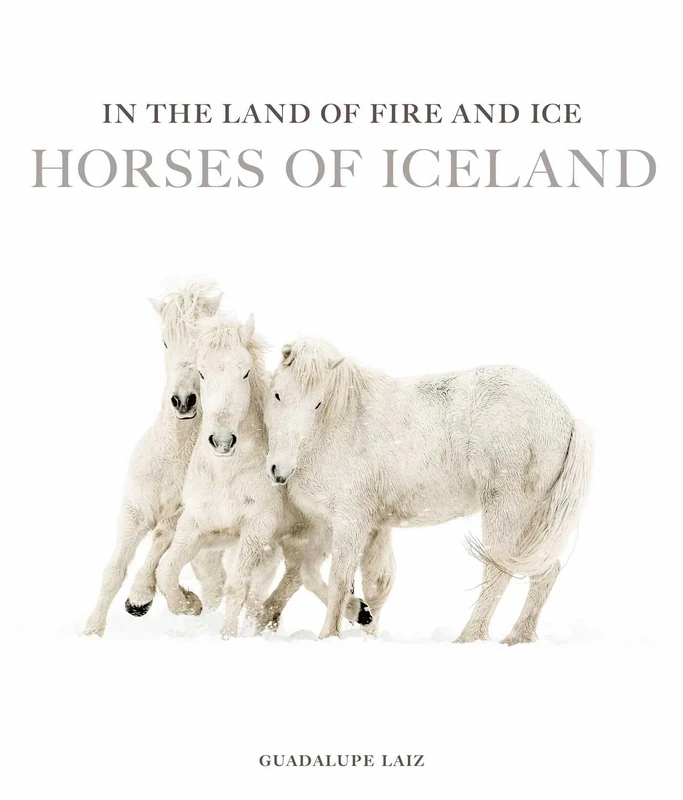 In the Land of Fire and Ice: Horses of Iceland