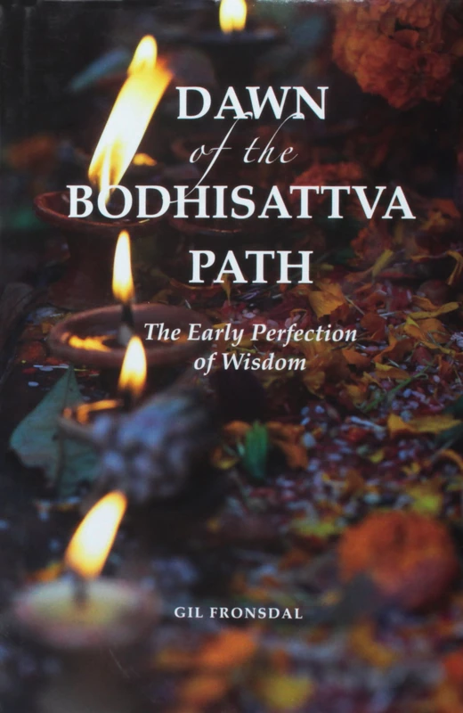 Dawn of the Bodhisattva Path: The Early Perfection of Wisdom (Contemporary Issues in Buddhist Studies)