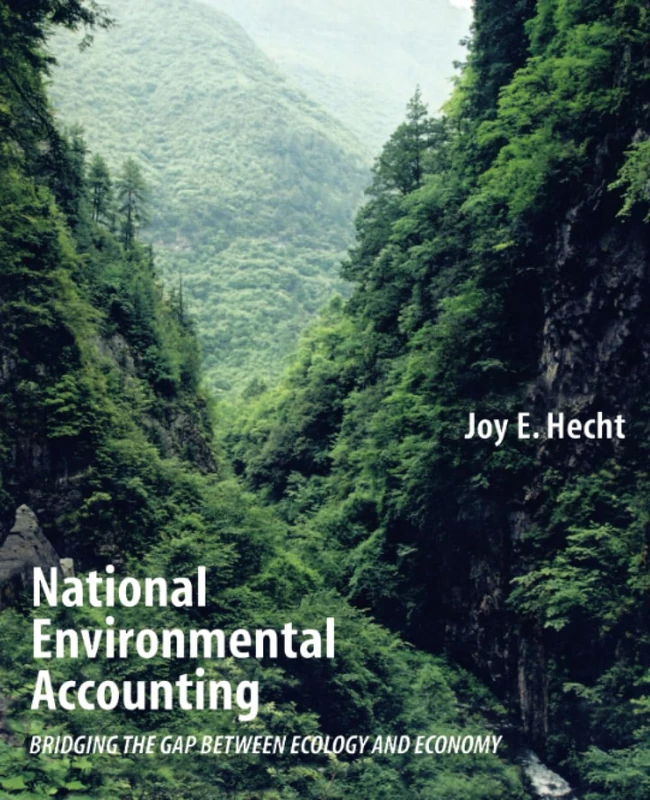 National Environmental Accounting: Bridging the Gap between Ecology and Economy