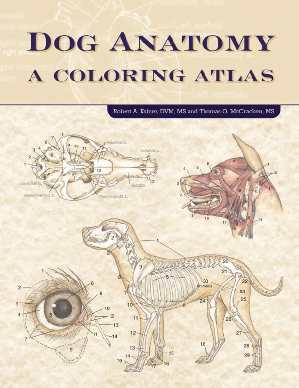 Dog Anatomy: A Coloring Atlas