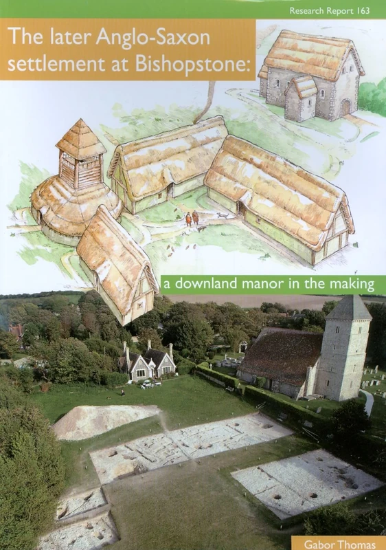 The Later Anglo-Saxon Settlement at Bishopstone (Cba Research Report)