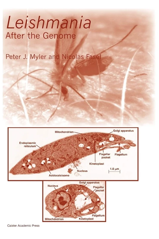 Leishmania: After the Genome