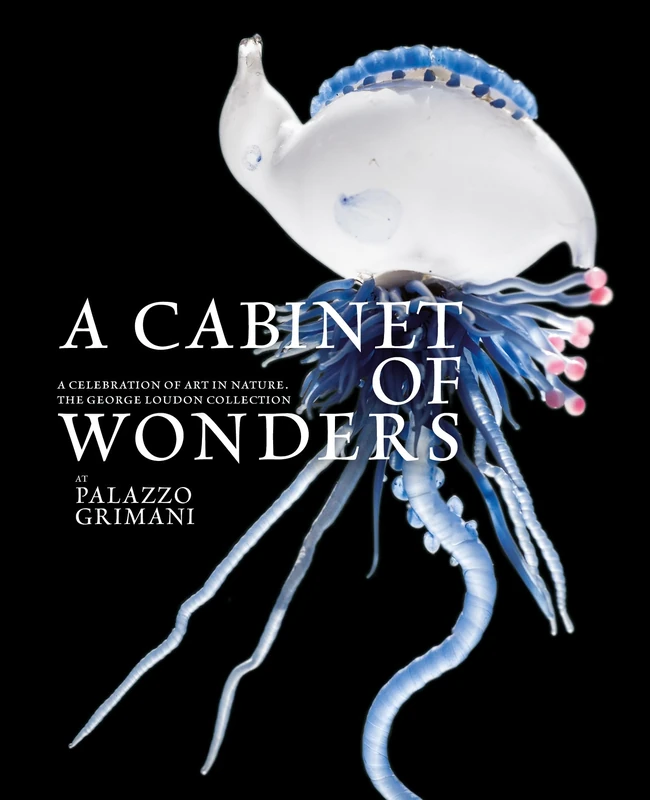 Thames & Hudson - A Cabinet of Wonders Art in Nature Book