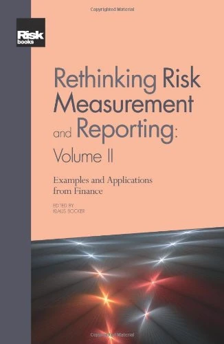 Rethinking Risk Measurement and Reporting: Volume II: v. 2
