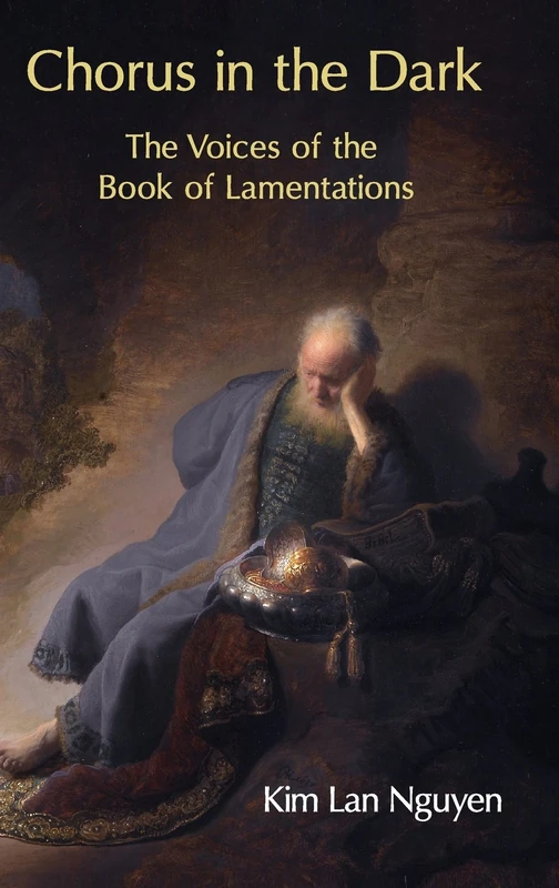 Chorus in the Dark: The Voices of the Book of Lamentations: 54 (Hebrew Bible Monographs)