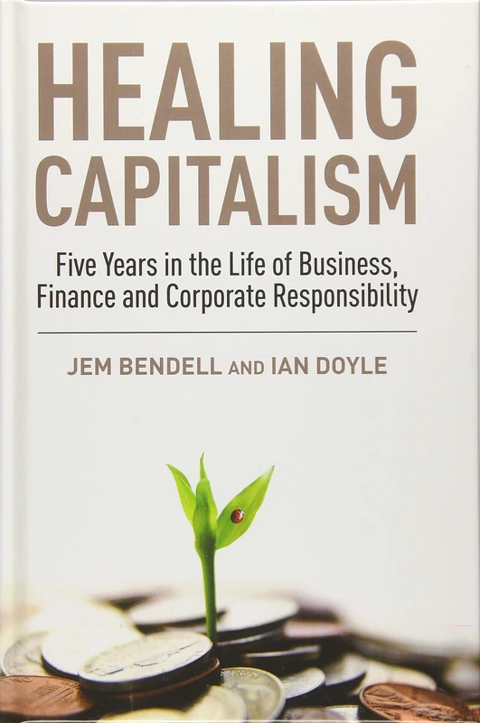 Healing Capitalism: Five Years in the Life of Business, Finance and Corporate Responsibility
