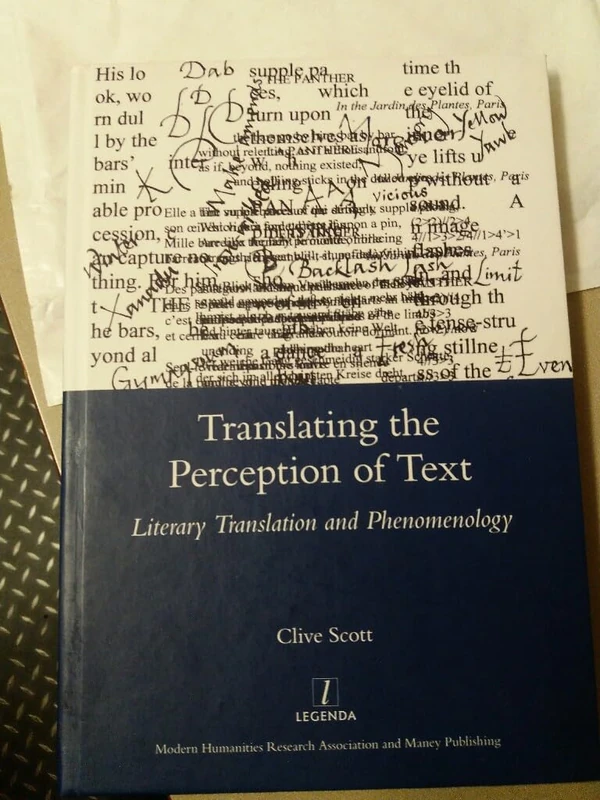 Translating the Perception of Text: Literary Translation and Phenomenology (Legenda Main)