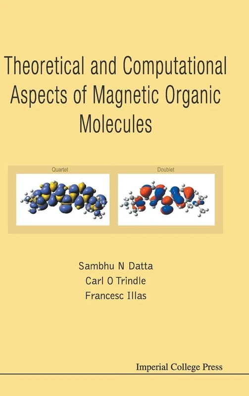 Theoretical and Computational Aspects of Magnetic Organic Molecules