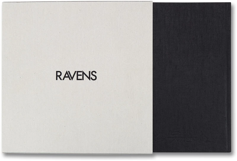 Ravens - Image 1