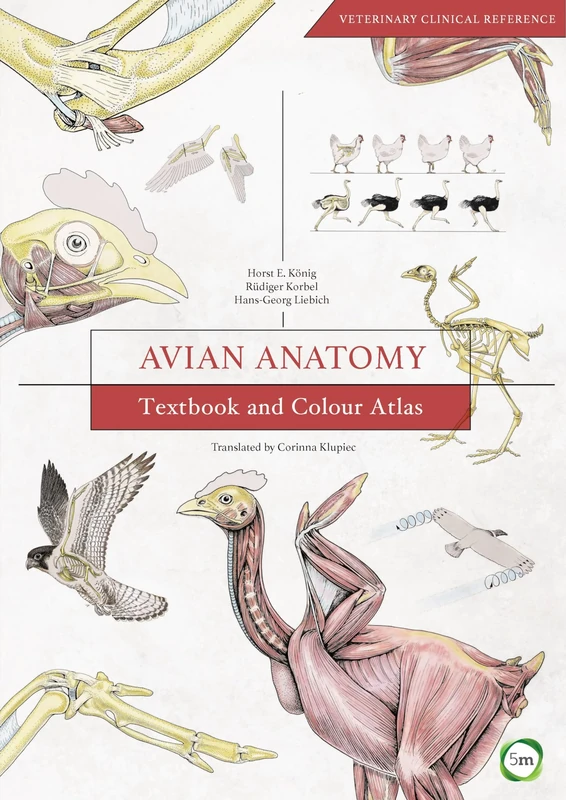 Avian Anatomy: Textbook and Colour Atlas (Veterinary Atlases)