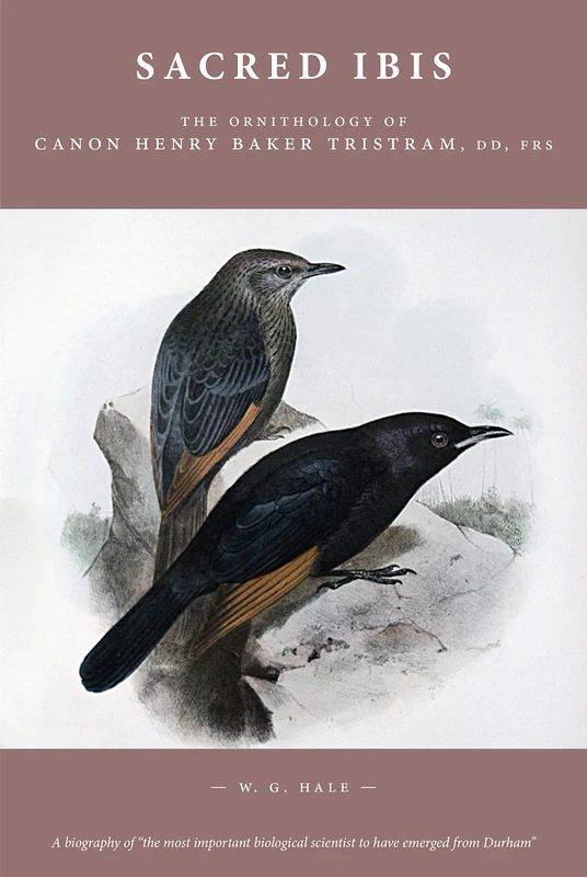 Sacred Ibis: The Ornithology of Canon Henry Baker Tristram, DD, FRS - Image 1