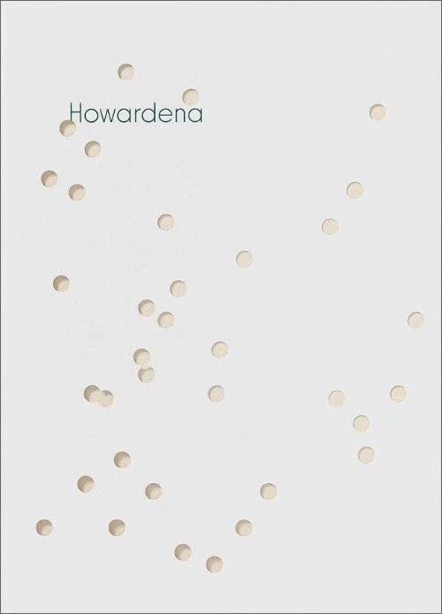 Howardena Pindell - Howardena