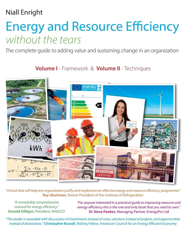 Energy and Resource Efficiency without the tears: The complete guide to to adding value and sustaining change in an organization. - Image 1