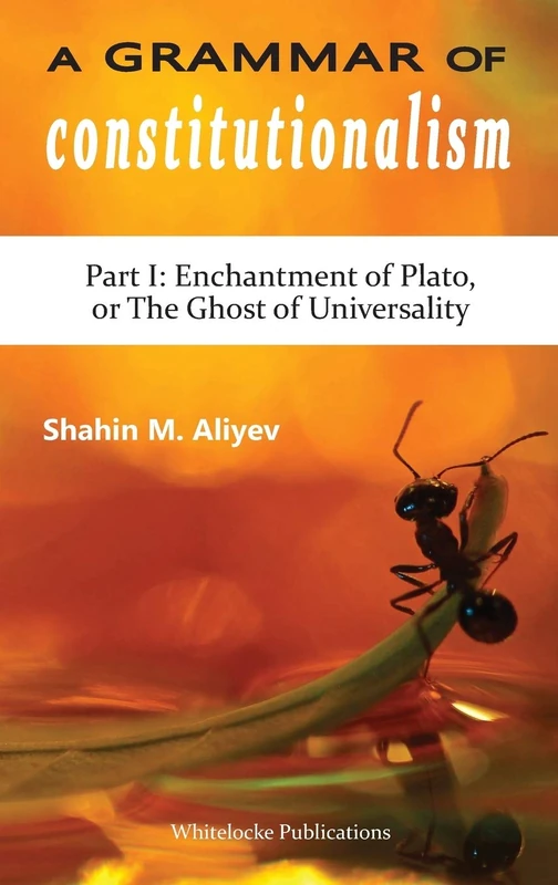 A Grammar of Constitutionalism - Whitelocke Publications - Image 1