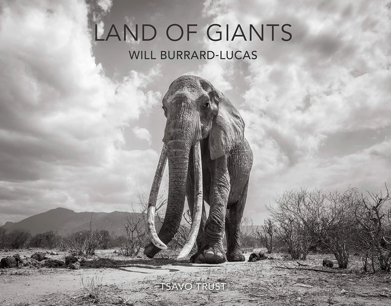 Land of Giants - Image 1