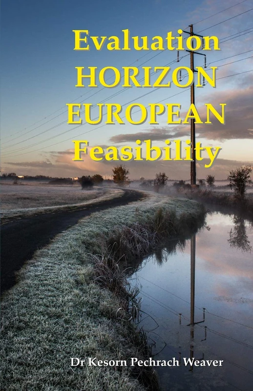 Evaluation Horizon European Feasibility - Image 1