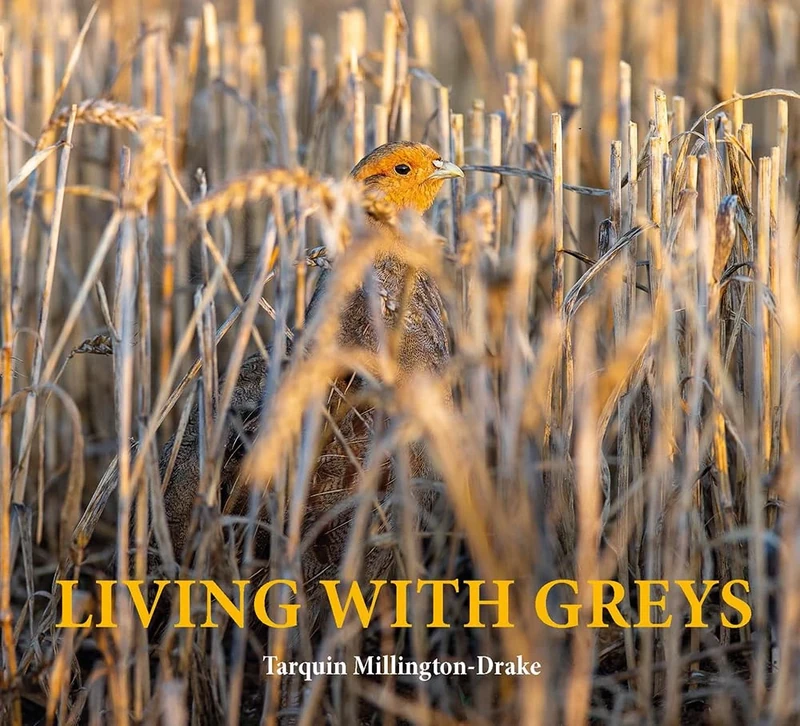Living with Greys: A celebration of the grey partridge - Image 1