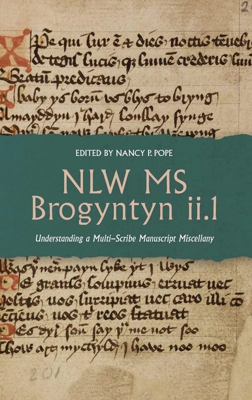 NLW MS Brogyntyn ii.1: Understanding a Multi-Scribe Manuscript Miscellany: 9 (York Manuscript and Early Print Studies)