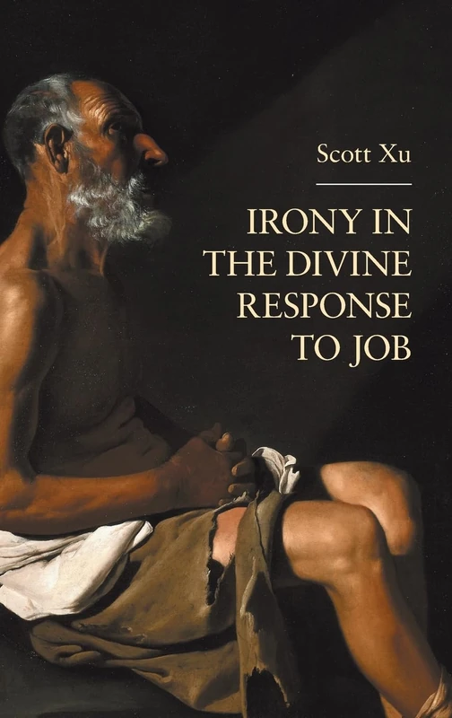 Irony in the Divine Response to Job: 114 (Hebrew Bible Monographs)