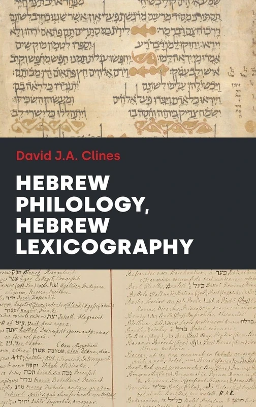 Hebrew Lexicography Hebrew Philology: 122 (Hebrew Bible Monographs)