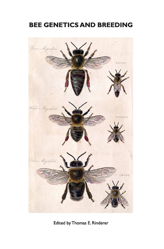 Bee Genetics and Breeding - Image 1