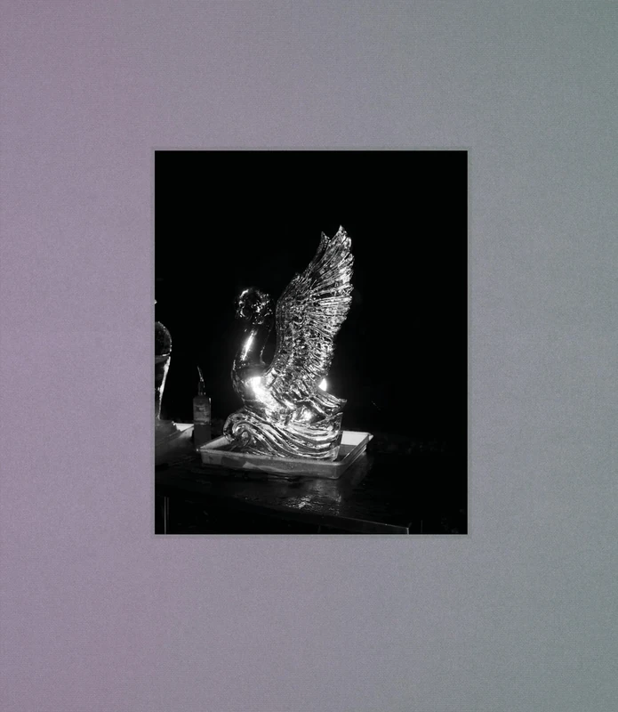 i shall sing these songs beautifully