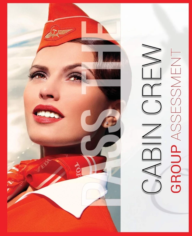Sammamish Enterprises - Customer Service as a Flight Attendant