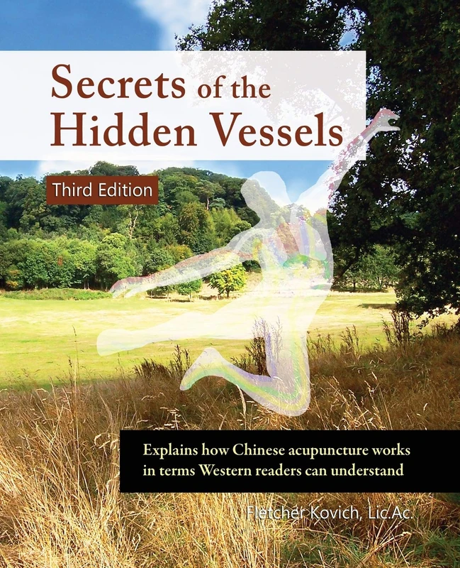 Secrets of the Hidden Vessels: Explains how Chinese acupuncture works in terms Western readers can understand - Image 1