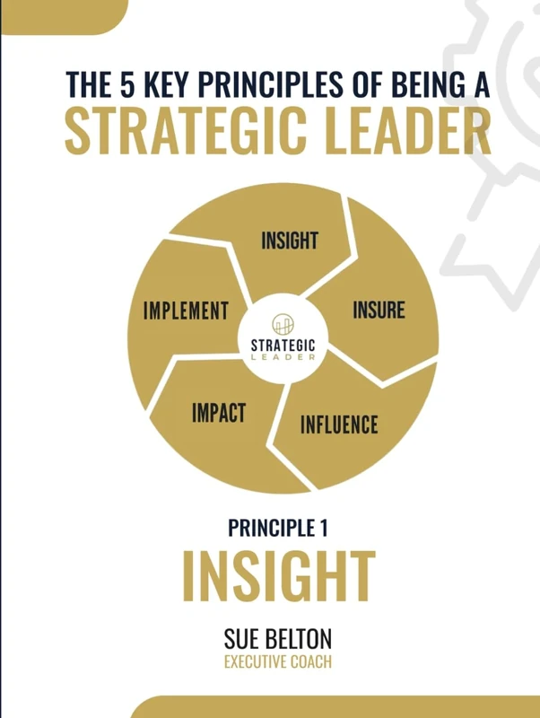 The Strategic Leader: Insight: The 5 Key Principles Of Being A Strategic Leader - Image 1