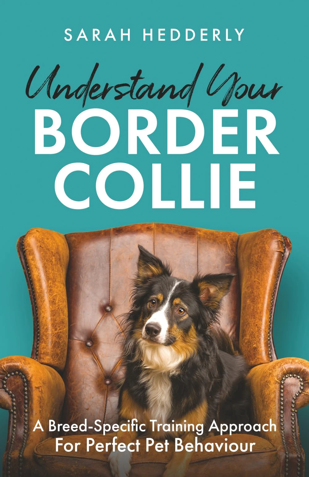 Understand Your Border Collie: A Breed-Specific Training Approach for Perfect Pet Behaviour