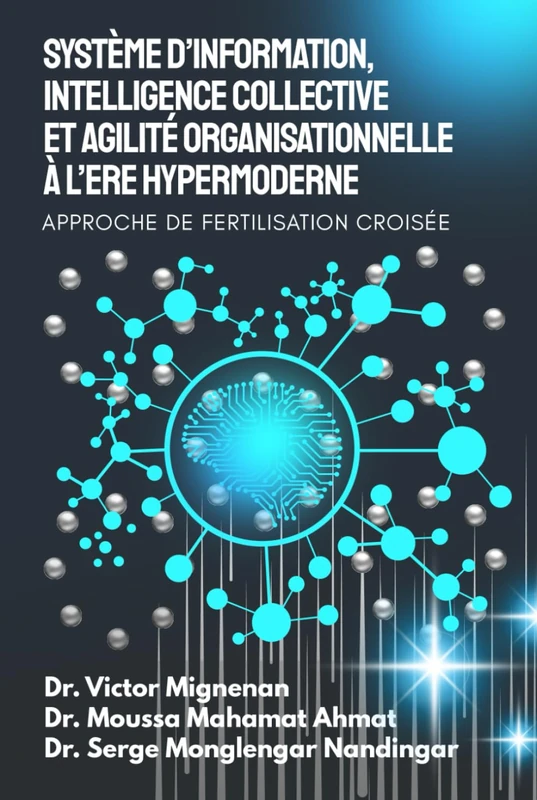 Système d’information, Intelligence Collective et Agilité Organisationnelle à l’Ere Hypermoderne: Approche de Fertilisation Croisée - Image 1