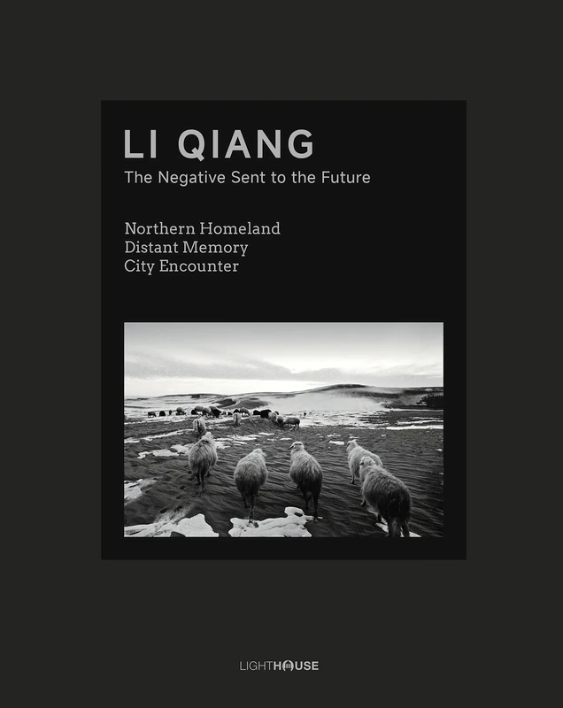 Li Qiang: The Negative Sent to Future (Contemporary Chinese Artist)