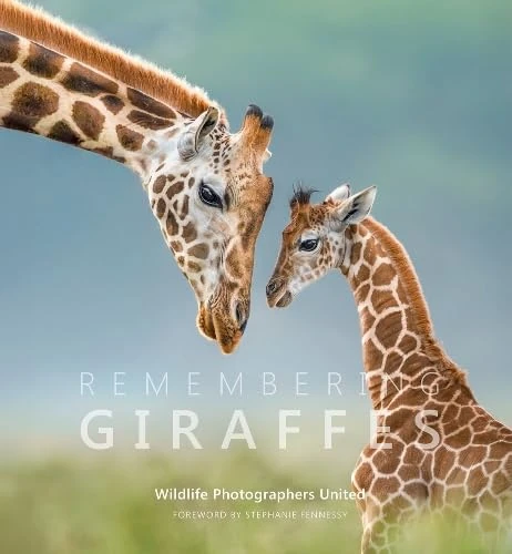 Remembering Giraffes (Remembering Wildlife)