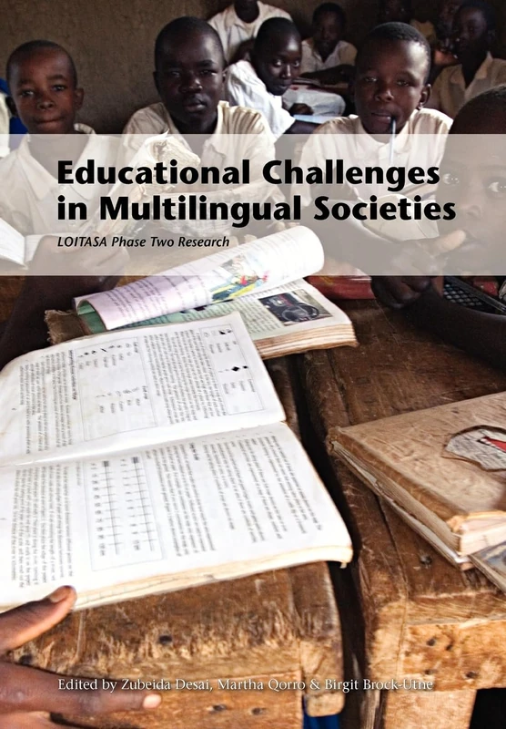 Educational challenges in multilingual societies: LOITASA phase two research - Image 1