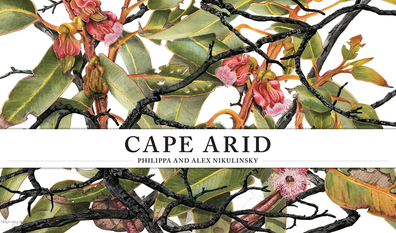 Cape Arid: A striking collection of Australian botanical art - Image 1