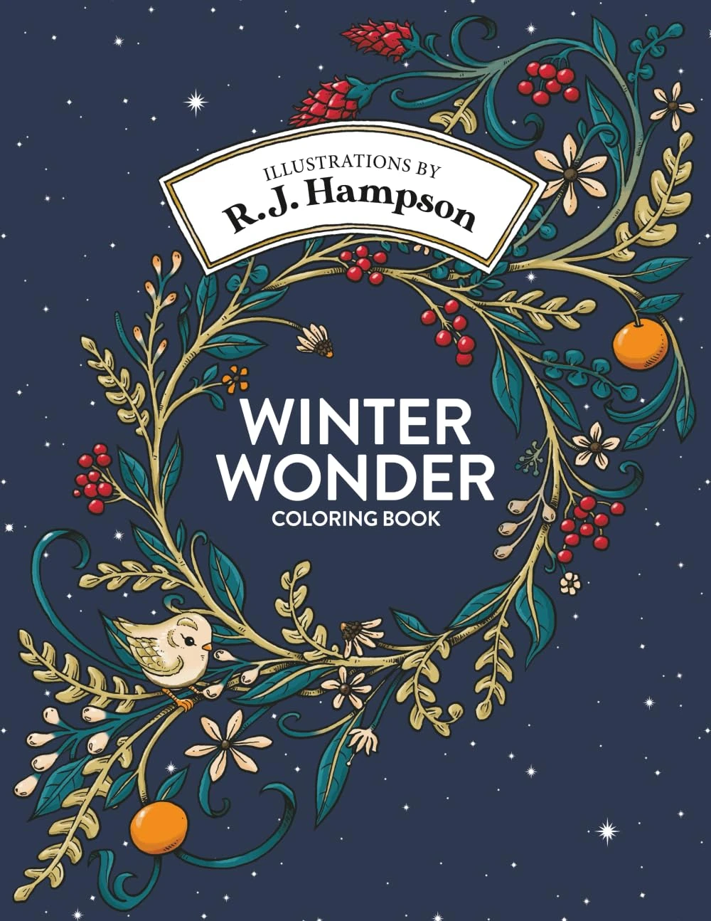 Winter Wonder Coloring Book (R.J. Hampson Coloring Books)