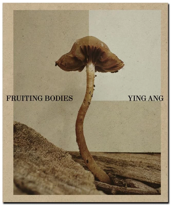 Ying Ang - Fruiting Bodies - Image 1