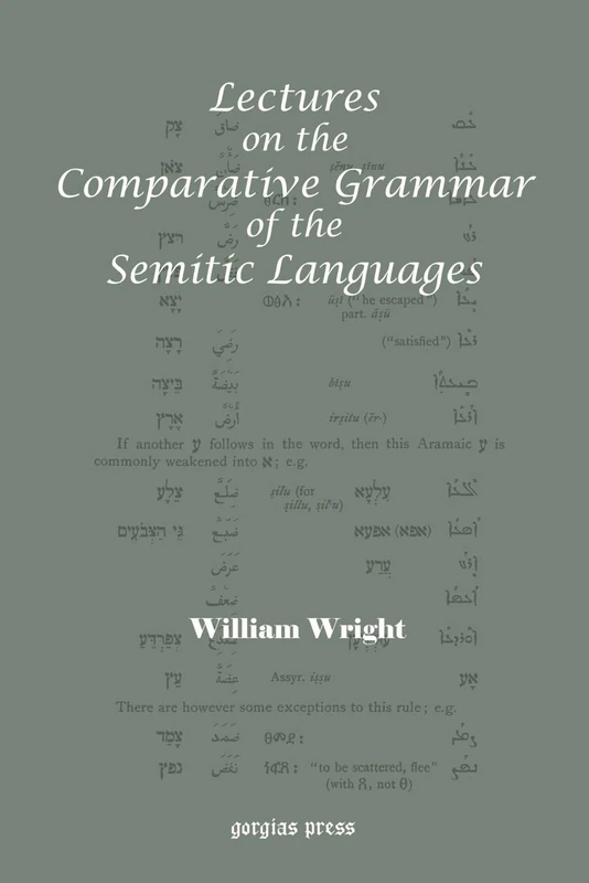 Lectures on the Comparative Grammar of the Semitic Languages: With a New Introduction by Patrick Bennett - Image 1