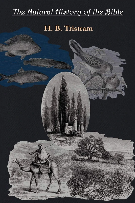 The Natural History of the Bible - Parlux History Book - Image 1