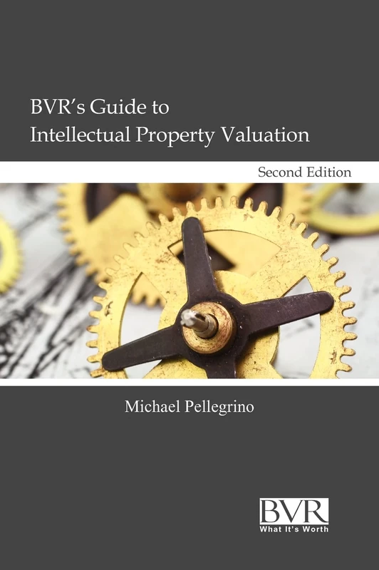 BVR's Guide to Intellectual Property Valuation, 2nd Edition