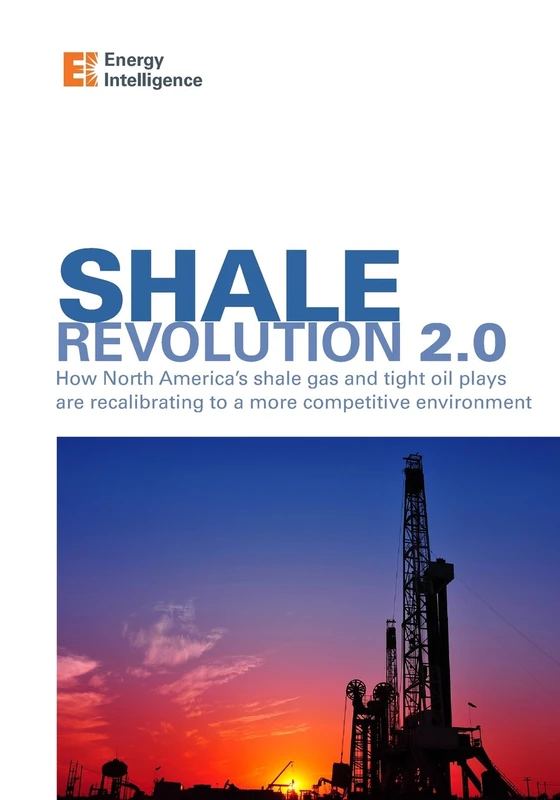 Shale Revolution 2.0: How North America's shale gas and tight oil plays are recalibrating to a more competitive environment - Image 1