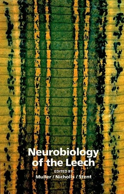Neurobiology of the Leech