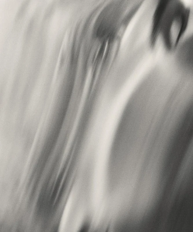 Henry O. Head: Twelve Acres