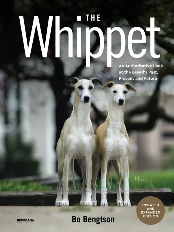 The Whippet: An Authoritative Look at the Breed’s Past, Present and Future